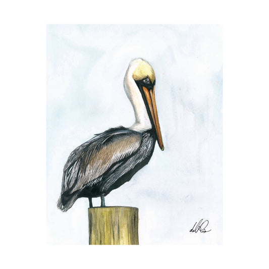 LA Brown Pelican Watercolor Print